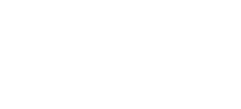 ŚZPP logo białe